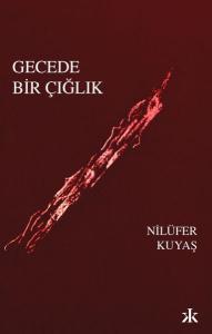 Gecede Bir Çığlık