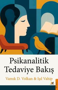 Psikanalitik Tedaviye Bakış