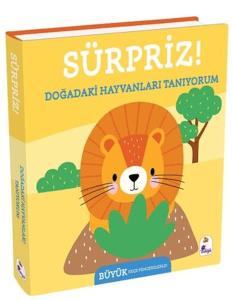 Sürpriz! - Doğadaki Hayvanları Tanıyorum