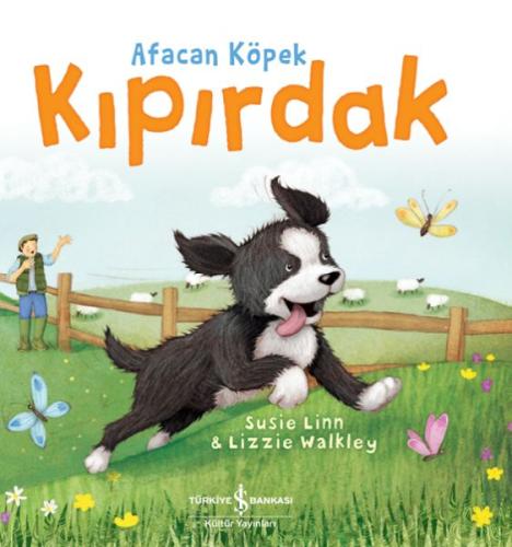 Afacan Köpek Kıpırdak Susıe Lınn