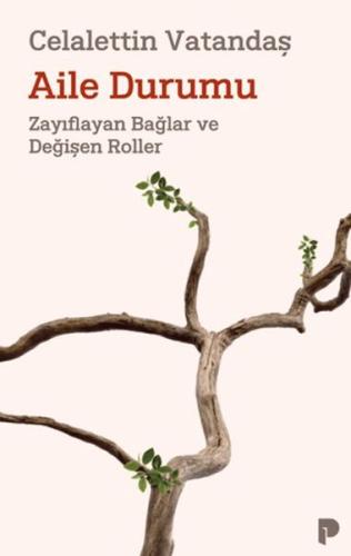 Aile Durumu