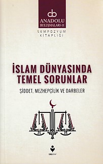 Anadolu Buluşmaları 11 - İslam Dünyasında Temel Sorunlar Kolektif