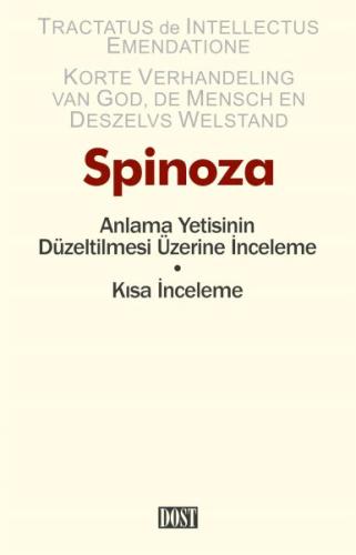 Anlama Yetisinin Düzeltilmesi Üzerine İnceleme