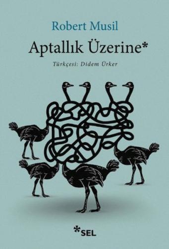 Aptallık Üzerine