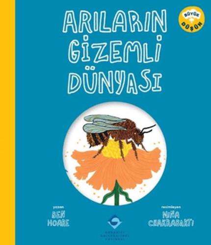 Arıların Gizemli Dünyası Ben Hoare
