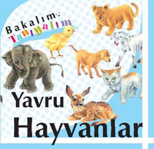 Bakalım Tanıyalım Yavru Hayvanlar (Ciltli)