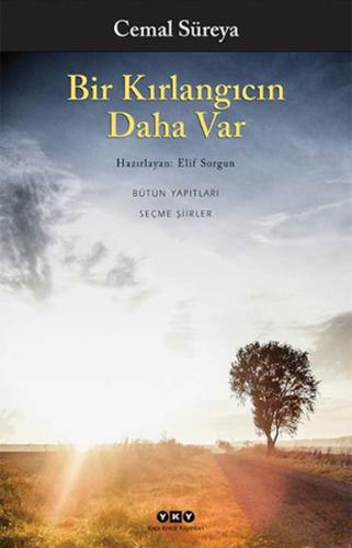 Bir Kırlangıcın Daha Var Cemal Süreya