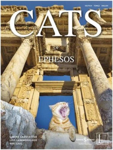 Cats of Ephesos Lois Lammerhuber