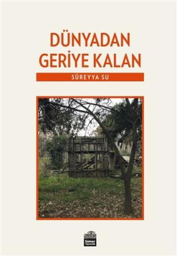 Dünyadan Geriye Kalan Süreyya Su