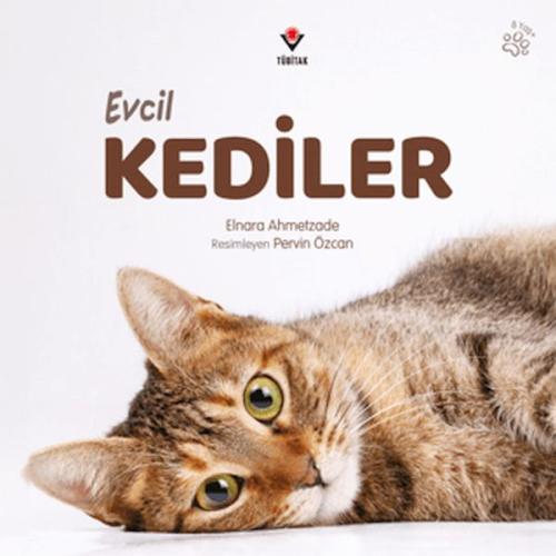 Evcil Kediler Meryem Tuğba Pekşen
