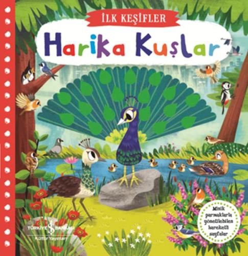 Hareketli Harika Kuşlar - İlk Keşifler