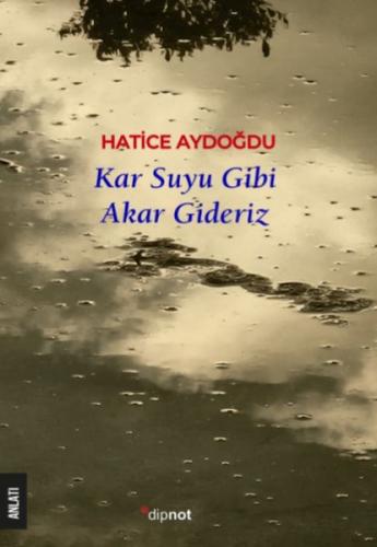 Kar Suyu Gibi Akar Gideriz Hatice Aydoğdu
