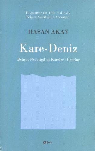 Kare-Deniz Hasan Akay