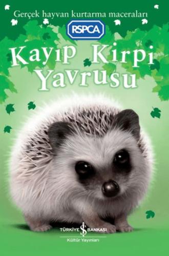Kayıp Kirpi Yavrusu