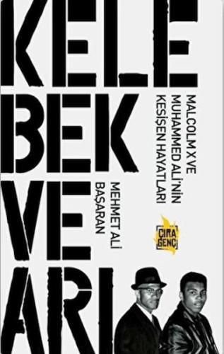 Kelebek ve Arı %15 indirimli Mehmet Ali Başaran