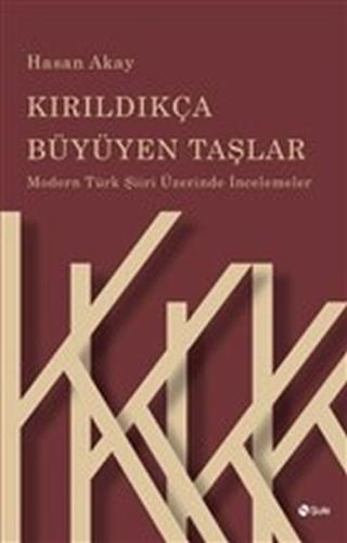 Kırıldıkça Büyüyen Taşlar - Modern Türk Şiiri Üzerinde İncelemeler Has