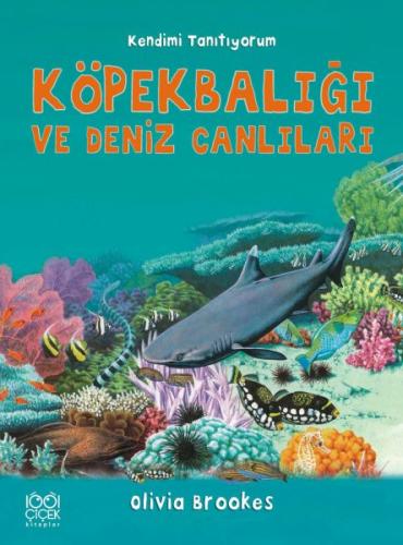 Köpekbalığı ve Deniz Canlıları - Kendimi Tanıtıyorum