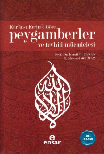 Kur'an-ı Kerim'e Göre Peygamberler ve Tevhid Mücadelesi N. Mehmet Solm
