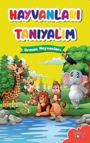 Muhteşem Çizimler ve Kolay Anlatım ile Hayvanları Tanıyalım Orman Hayv