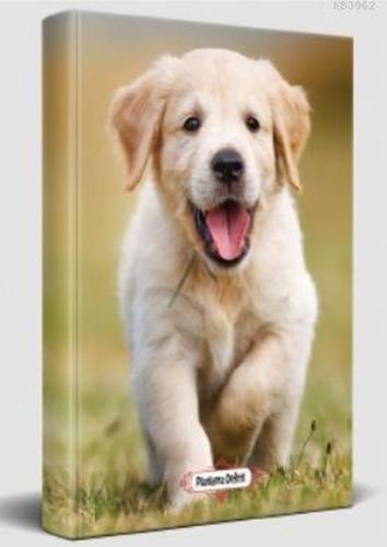 Mutlu Prens - Planlama Defteri %30 indirimli Kolektif