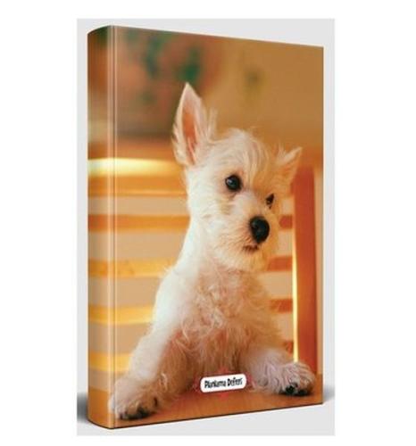 Pamuk Seker - Planlama Defteri