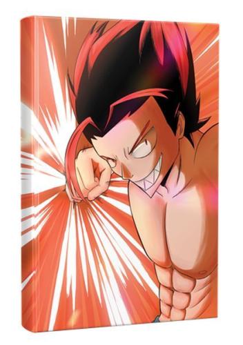 Punch Anime-Manga Planlama Defteri %30 indirimli Kolektif