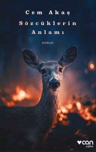 Sözcüklerin Anlamı Cem Akaş