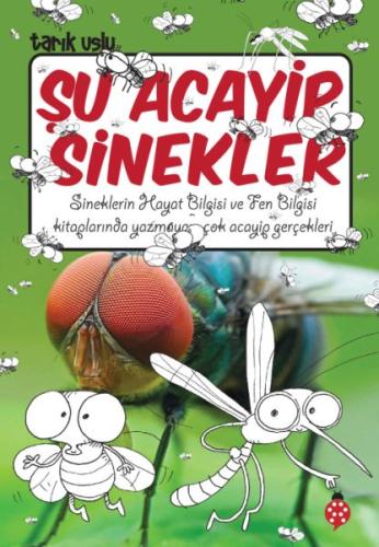 Şu Acayip Sinekler