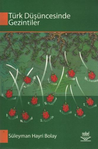 Türk Düşüncesinde Gezintiler