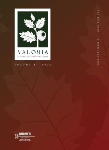 Valonia Volume 2 - 2025 Kolektif