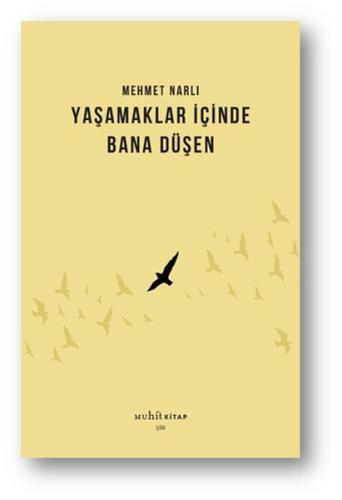 Yaşamaklar İçinde Bana Düşen Mehmet Narlı